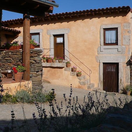 Pensjonat Casa Da Ti Cura Atenor Zewnętrze zdjęcie
